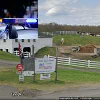 Farmer Pistol-Whipped, Robbed Before Milking Cows In CT: Suspects At Large