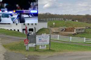 Farmer Pistol-Whipped, Robbed Before Milking Cows In New Haven County: Suspects At Large