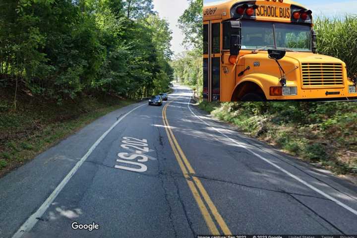 Cops Catch Man Illegally Passing Stopped School Bus In Hudson Valley, Police Say