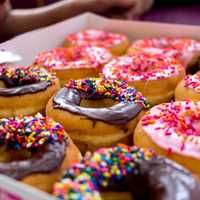 Best Doughnuts In Capital Region Found At This Bakery, Foodies Say