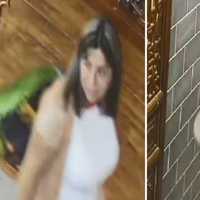 Seen Them? Duo Wanted For Stealing Credit Cards In Melville, Making $6K In Purchases