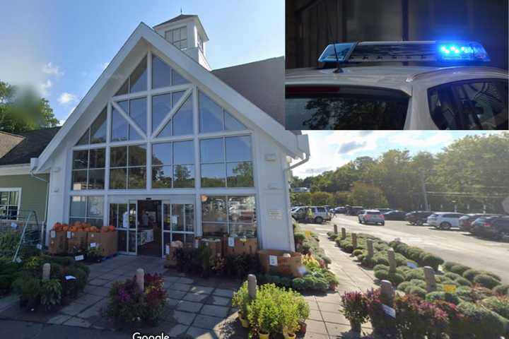 Woman Steals Victim's Wallet At Whole Foods In Darien: Suspect At Large, Police Say