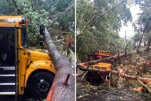 New Update: Fallen Tree Hits School Bus, Leaves 25 Children Stranded In Mahopac