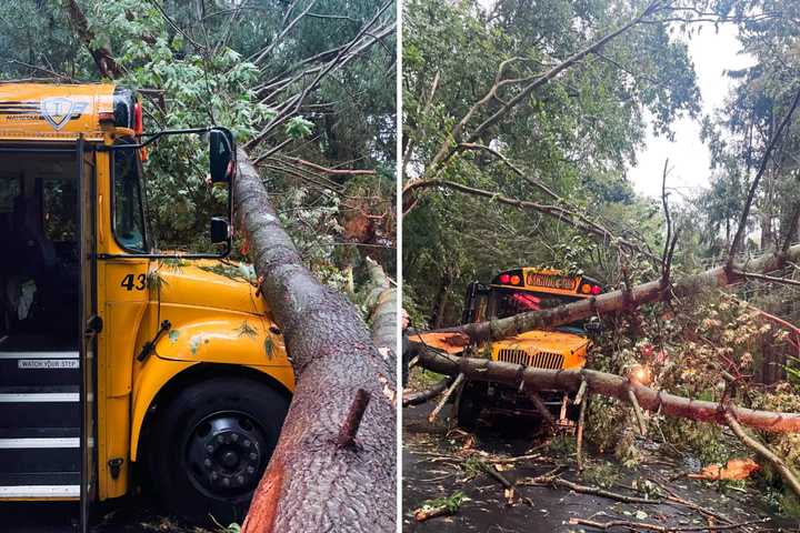 New Update: Fallen Tree Hits School Bus, Leaves 25 Children Stranded In Mahopac