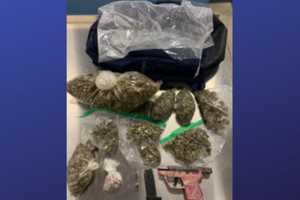 Teens Busted With Nearly 500 Grams Of Suspected Drugs At Glen Burnie Home