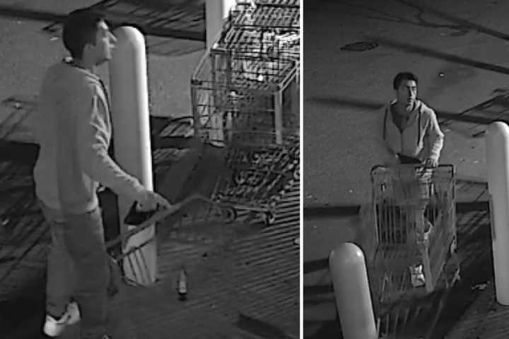 Seen Him? Man Accused Of Stealing Wallet From Shopping Cart On Long Island