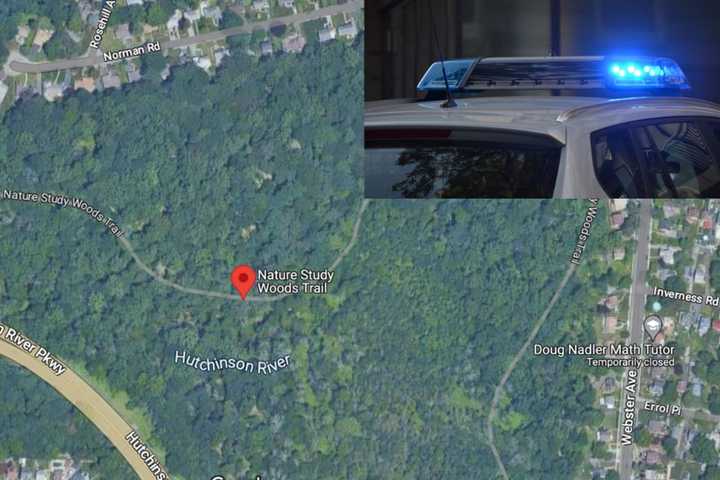 Man's Body Found Inside Concrete Tube At Nature Park In Region: Police