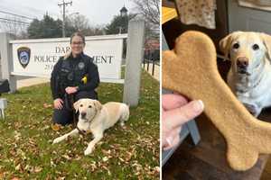 Fairfield County Police K9 'Kenny' Retires After More Than 5 Years Of Service