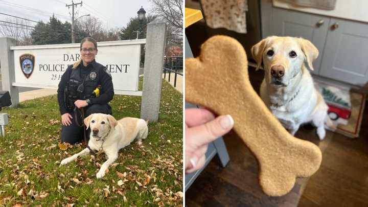 A K9 named Kenny is enjoying his retirement after more than five years of detecting narcotics for the Darien Police Department.