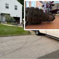 Live Hand Grenade Removed From White Plains Home