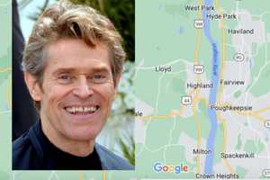 Actor Willem Dafoe Lists Property In High Falls He Purchased In 2008