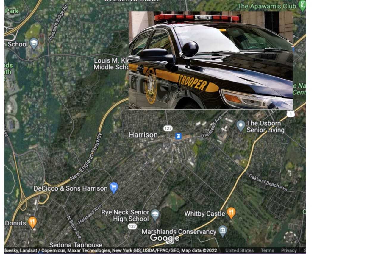 34-Year-Old Westchester Woman Killed After Tree Falls On Top Of Car ...