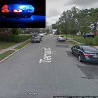 NY Woman Killed By Her Own Dog In Backyard Attack