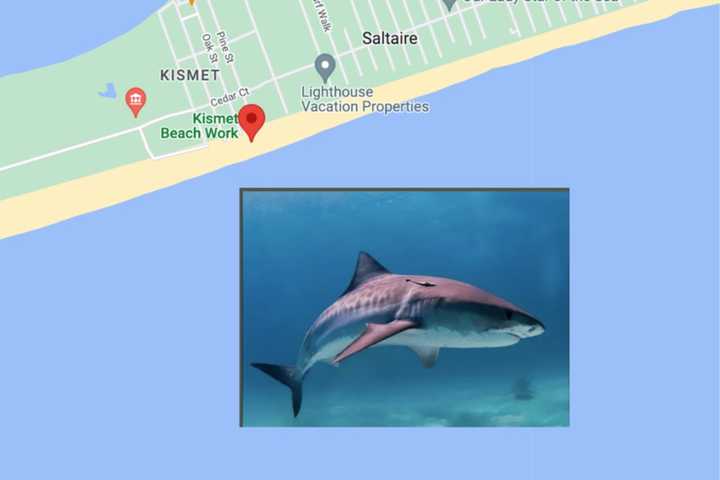 Teenage Surfer Bitten By Shark In Brand-New Long Island Incident