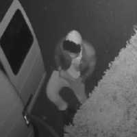 Duo At Large After Stealing $1.6K Worth Of Used Cooking Oil Outside Burger King In Huntington