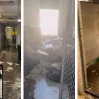 VIDEO: SPCA Of Anne Arundel County Intake Building Devastated By Recent Round Of Storms