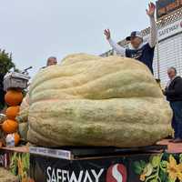 Squashed Already: NY Farmer's Days-Old Pumpkin All-Time Record Broken (Barely!)