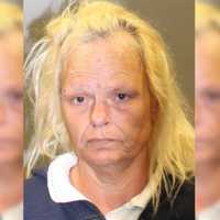Woman With Trashbag Full Of Guns Found Wandering Holyoke Street: Police