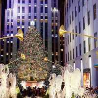 Here's Where This Year's Rockefeller Center Christmas Tree Is Coming From