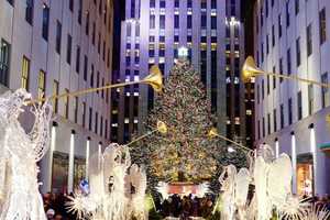 Here's Where This Year's Rockefeller Center Christmas Tree Is Coming From