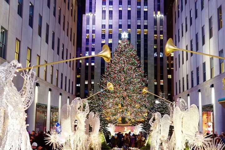 Here's Where This Year's Rockefeller Center Christmas Tree Is Coming From