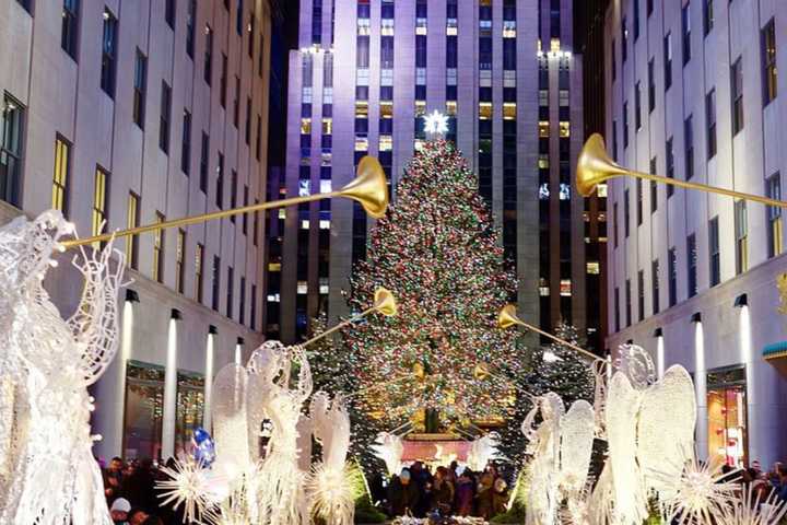 The 2016 Rockefeller Center Christmas Tree.