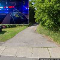 Police Investigating After Multiple Dead Dogs Found Near Capital District Trail