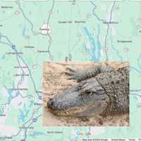 Charges Upgraded To Murder In Hudson Valley 'Gator' Stabbing Case