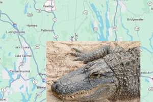 Charges Upgraded To Murder In Hudson Valley 'Gator' Stabbing Case