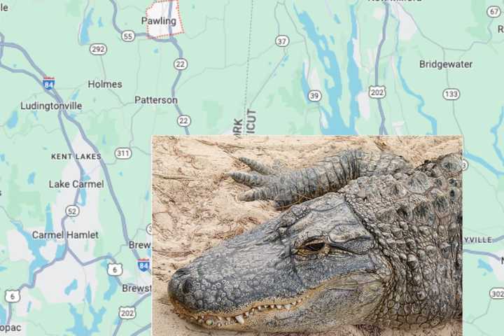 Charges Upgraded To Murder In Dutchess County 'Gator' Stabbing Case