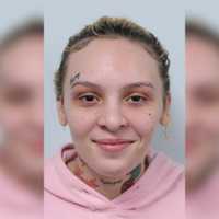 Woman Brought Loaded Gun Into Western Mass Court: Police