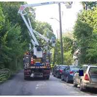 Fallen Tree Crushes Car, Knocks Out Power In Yonkers