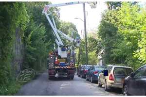 Fallen Tree Crushes Car, Knocks Out Power In Yonkers