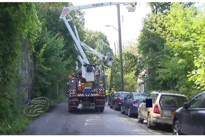 Fallen Tree Crushes Car, Knocks Out Power In Yonkers