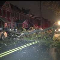 Downed Tree Knocks Out Power In Yonkers
