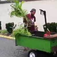 Uprooting Ends Garden Dispute At Valley Cottage Complex