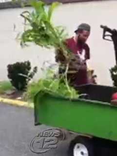 Uprooting Ends Garden Dispute At Valley Cottage Complex