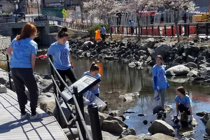 Community Comes Together For Saw Mill River Cleanup