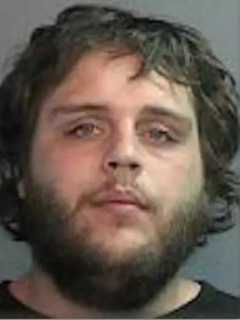 Cops Say Wayne Man Beat Puppy Tops Last Week's News In Passaic County