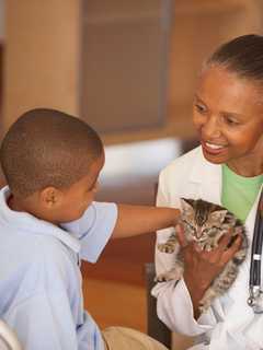 Norwalk Community College Offers Veterinary Health Care Program