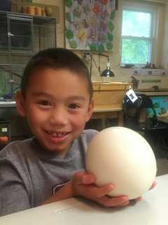 Scarsdale Students Visit Weinberg Nature Center