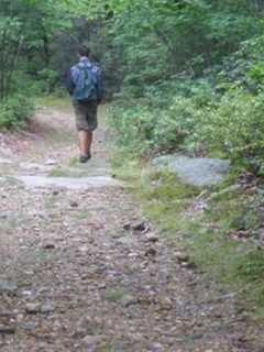 Pound Ridge Land Conservancy Schedules Work Session For Volunteers