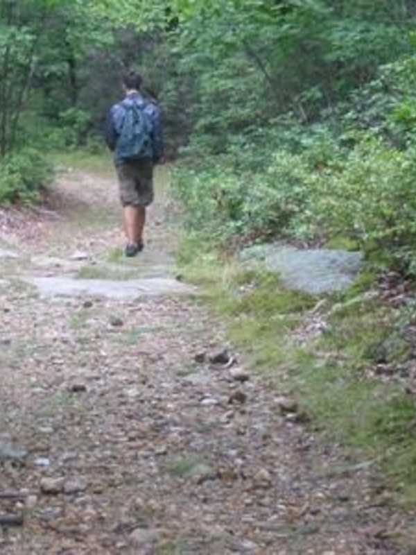 Pound Ridge Land Conservancy Schedules Work Session For Volunteers