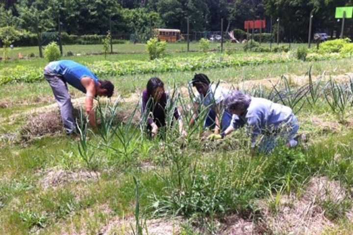 WESPAC To Celebrate Earth Day With Greenburgh Garden Event