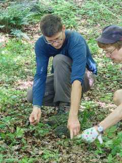 Westchester Land Trust Seeking Volunteers In Bedford