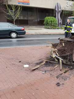 White Plains Flower Basket Damaged During Car Accident