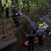 <p>Firefighters carried her to safety.</p>