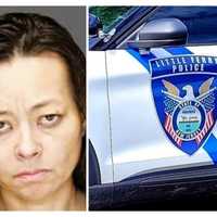 Little Ferry Officer's Gun Grabbed By Leonia Driver During Route 46 Stop: Police