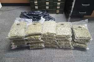 Duo Nabbed With 25 Pounds Of Pot In Taconic Parkway Stop, Police Say