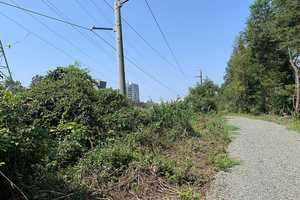 Bicyclist Pushed Off, Robbed By Group While Riding On W&OD Trail: Leesburg Pd